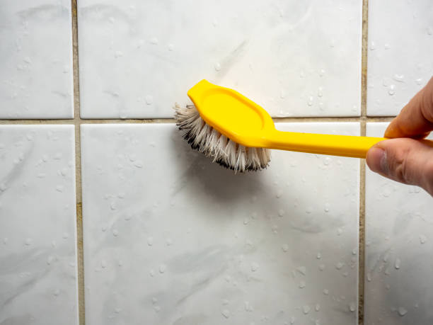 Best Residential Mold Remediation in St Clair, PA
