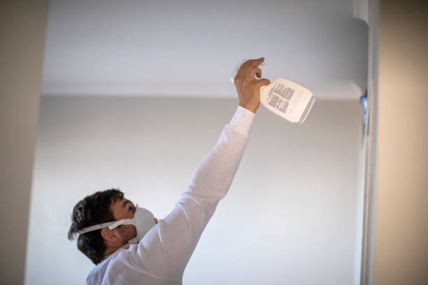 Best Mold Remediation for Schools in St Clair, PA