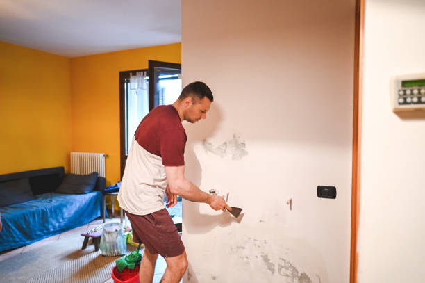 Best Preventive Mold Services in St Clair, PA